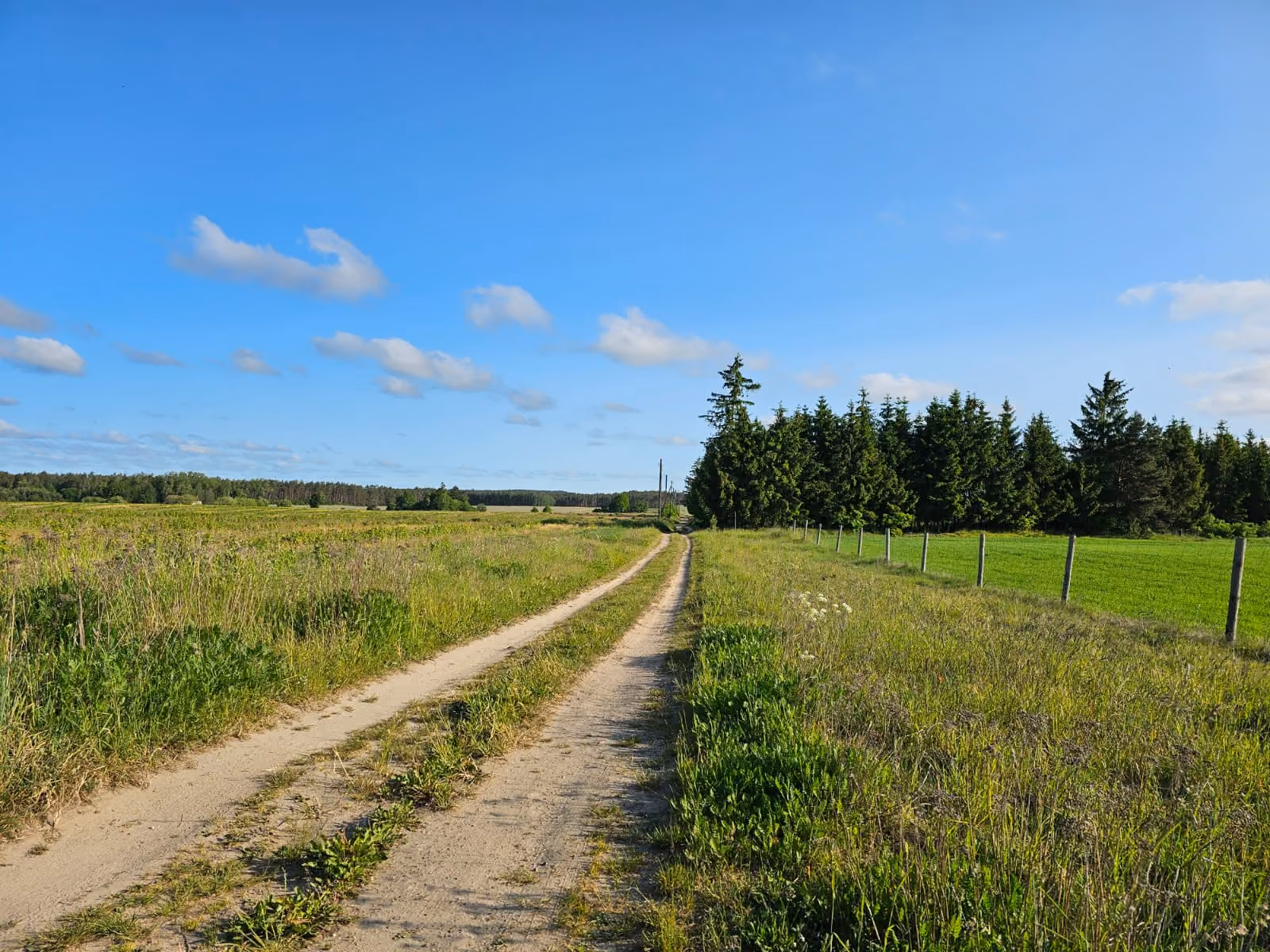 Polna droga wśród łąk i pól